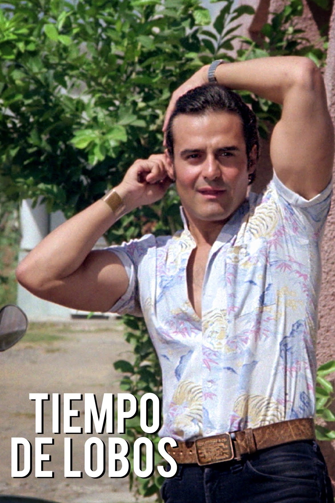 Tiempo de lobos poster